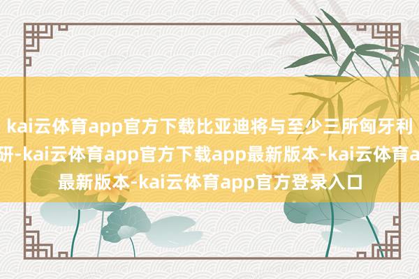 kai云体育app官方下载比亚迪将与至少三所匈牙利高校开展勾通科研-kai云体育app官方下载app最新版本-kai云体育app官方登录入口