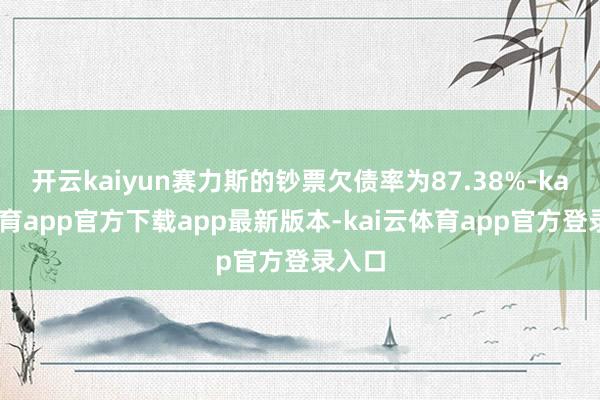开云kaiyun赛力斯的钞票欠债率为87.38%-kai云体育app官方下载app最新版本-kai云体育app官方登录入口