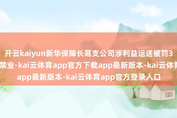开云kaiyun新华保障长葛支公司涉利益运送被罚3万，1东谈主遭9年禁业-kai云体育app官方下载app最新版本-kai云体育app官方登录入口